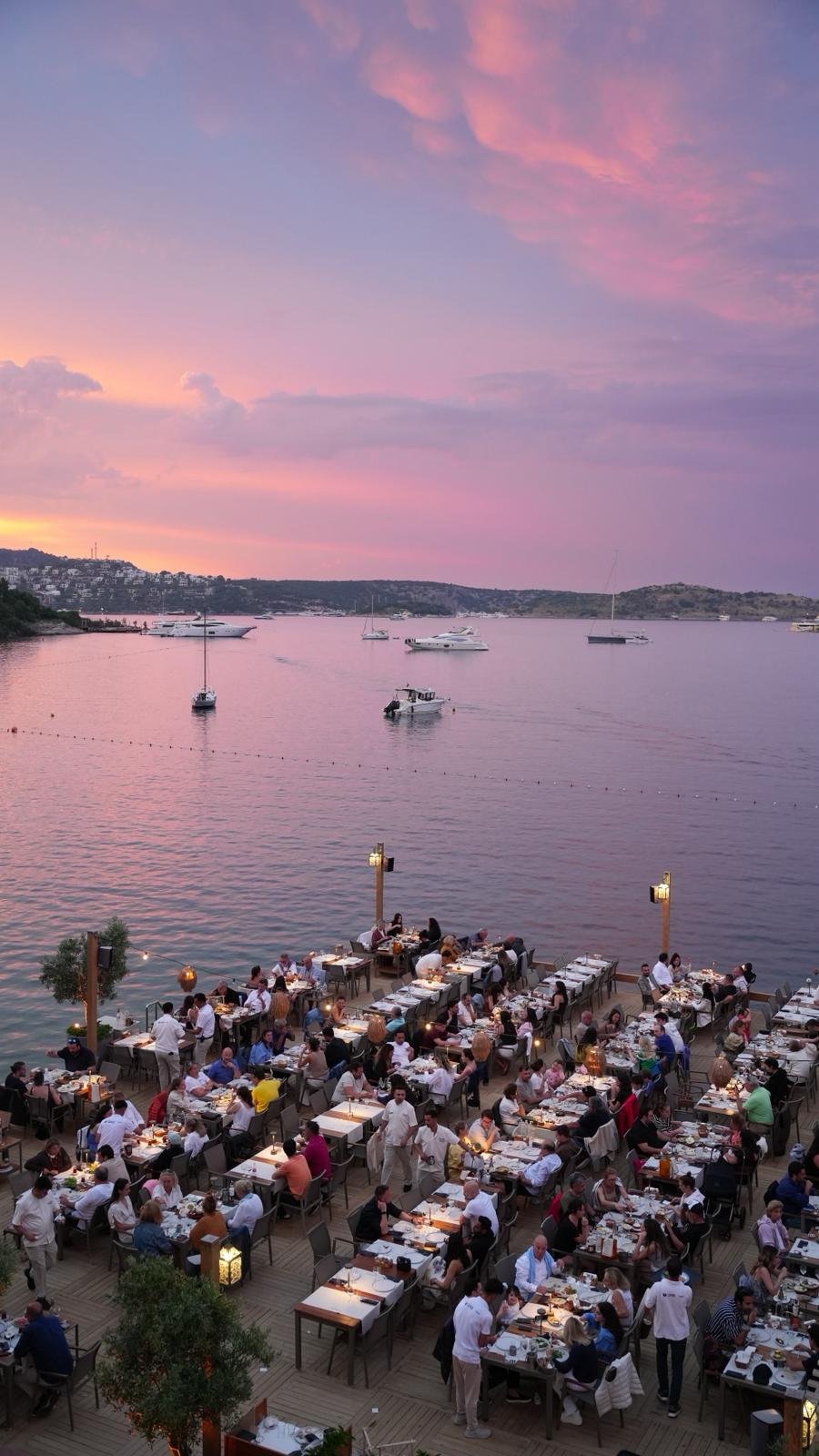 Orkide Bodrum